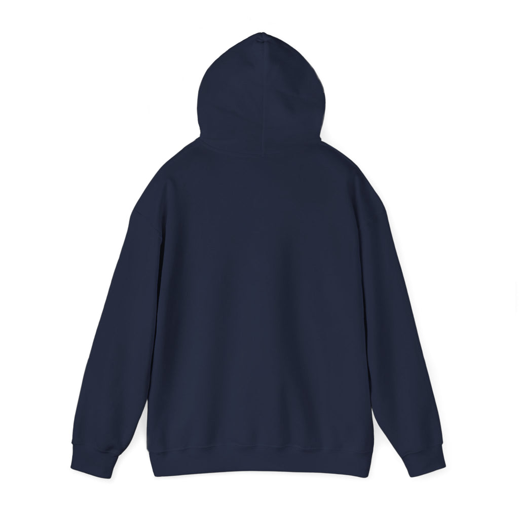 Seek First the Kingdom Hoodie | Christian streetwear, vintage-wash crest