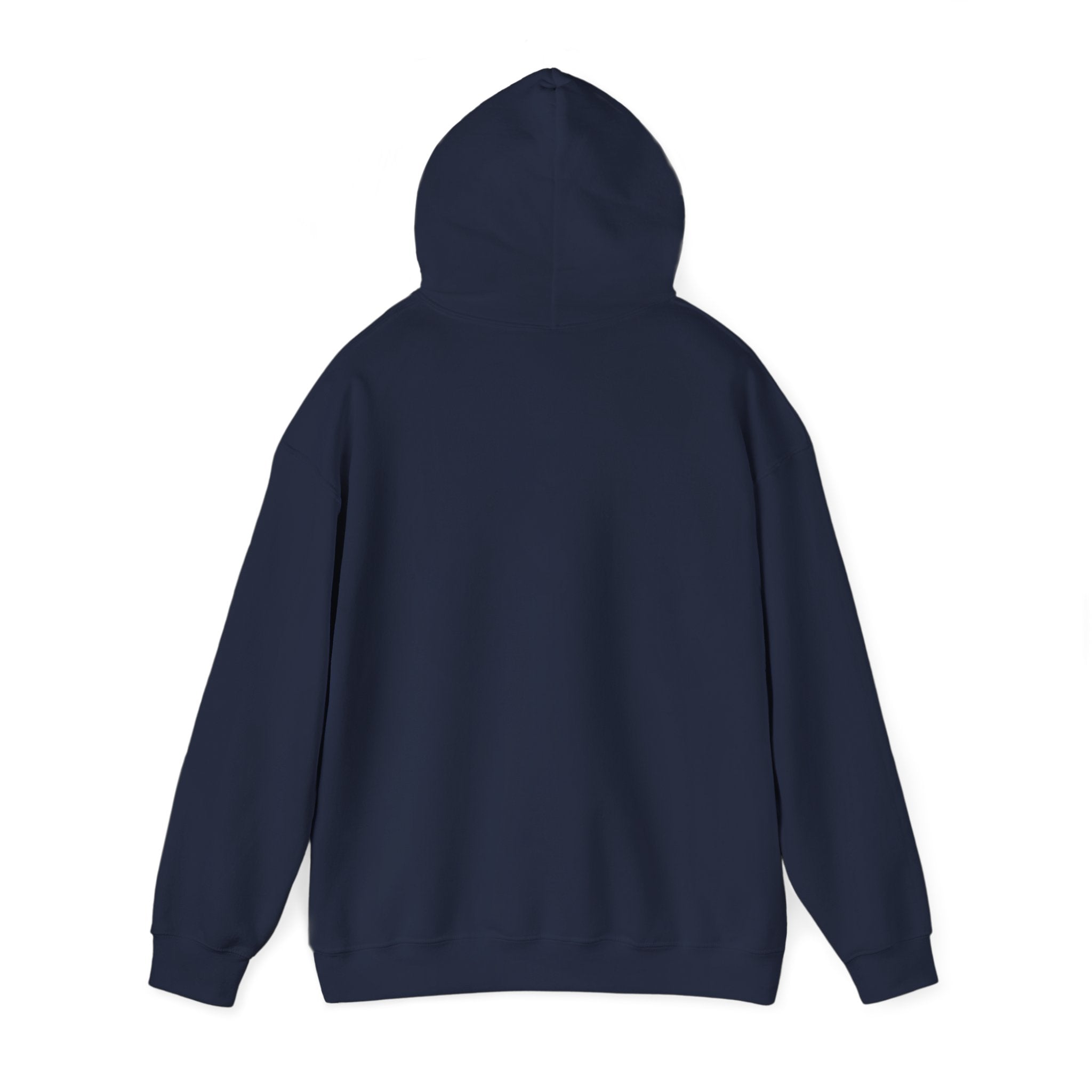 Seek First the Kingdom Hoodie | Christian streetwear, vintage-wash crest
