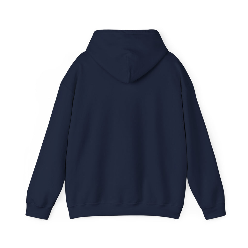 Seek First the Kingdom Hoodie | Christian streetwear, vintage-wash crest