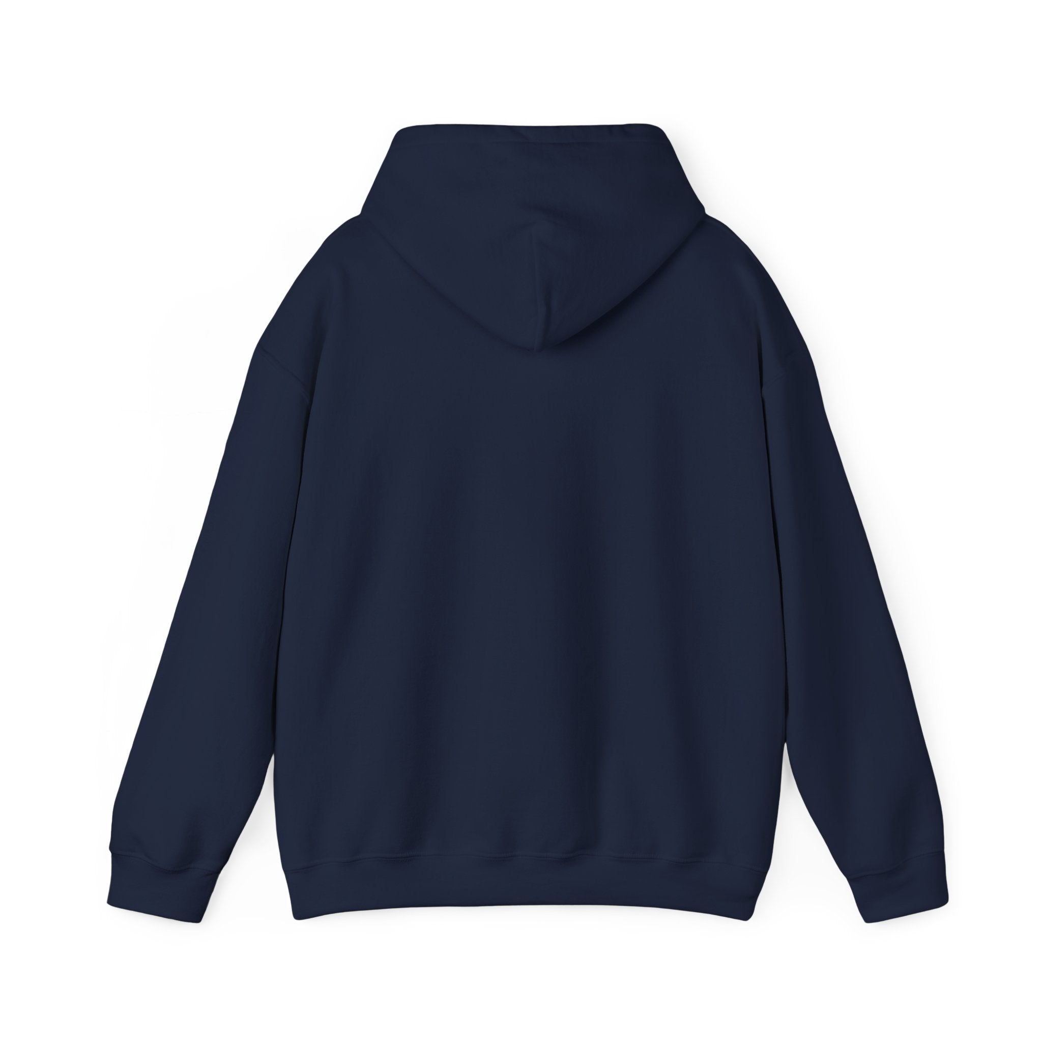 Seek First the Kingdom Hoodie | Christian streetwear, vintage-wash crest