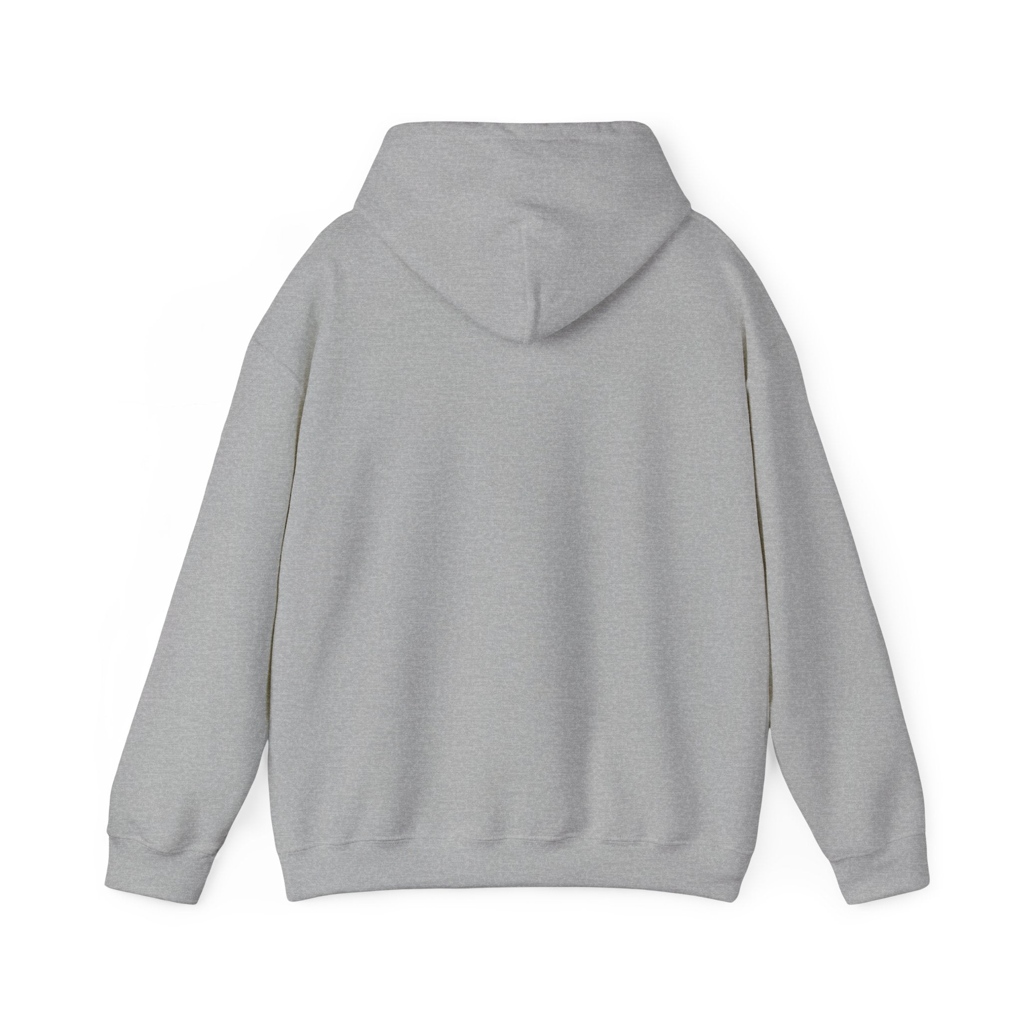 Seek First the Kingdom Hoodie | Christian streetwear, vintage-wash crest