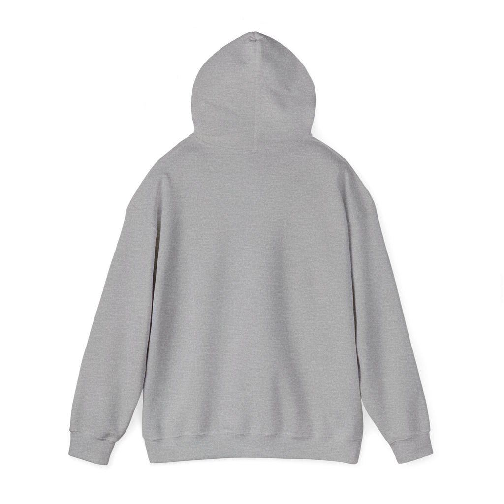 Seek First the Kingdom Hoodie | Christian streetwear, vintage-wash crest