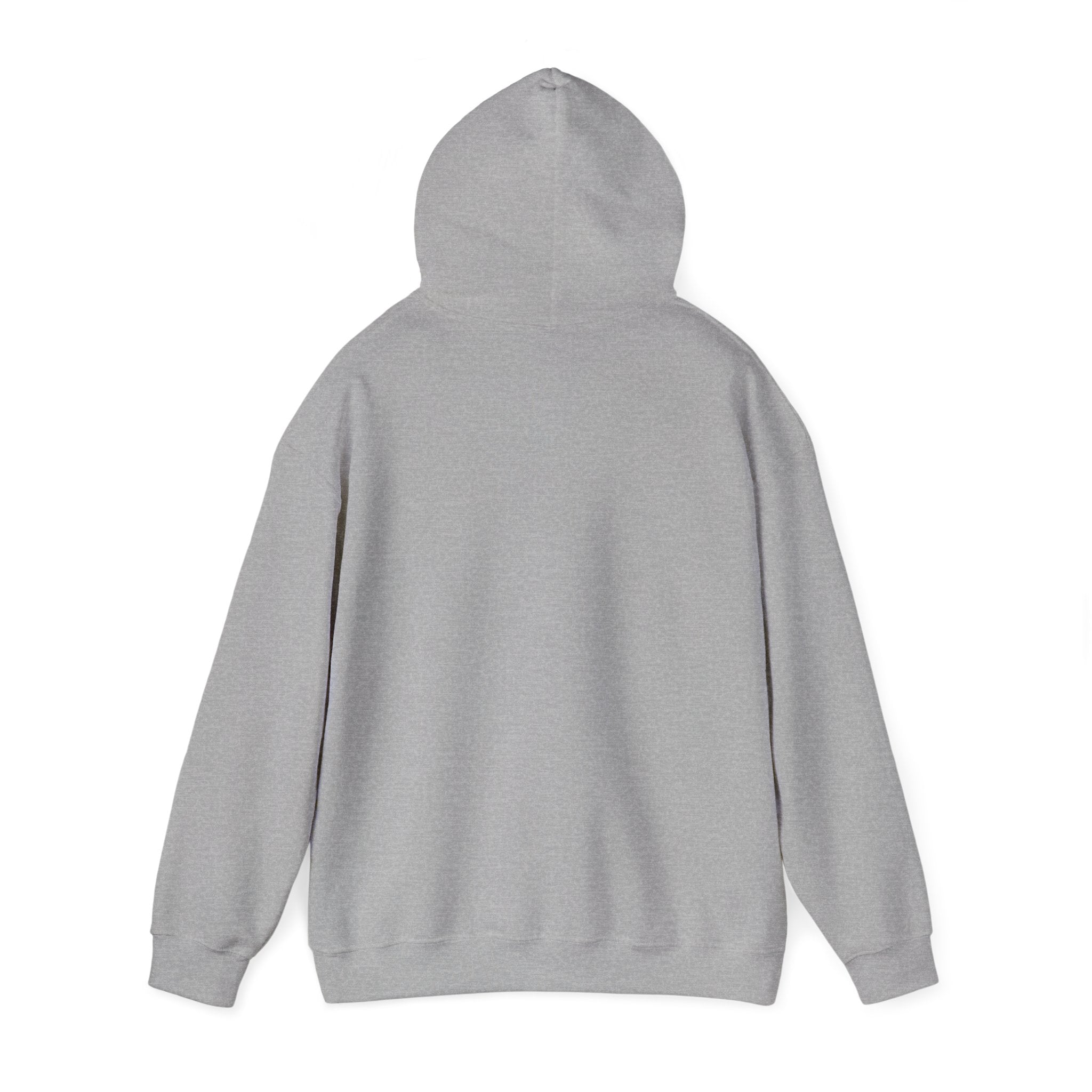 Seek First the Kingdom Hoodie | Christian streetwear, vintage-wash crest