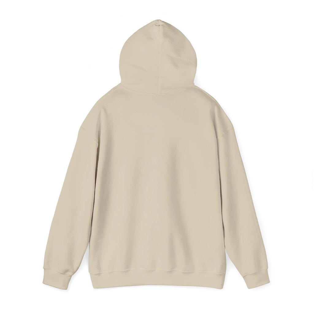 Seek First the Kingdom Hoodie | Christian streetwear, vintage-wash crest