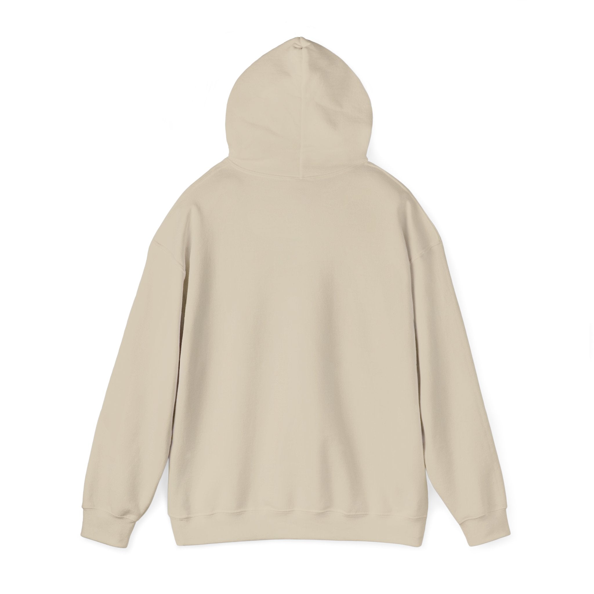 Seek First the Kingdom Hoodie | Christian streetwear, vintage-wash crest
