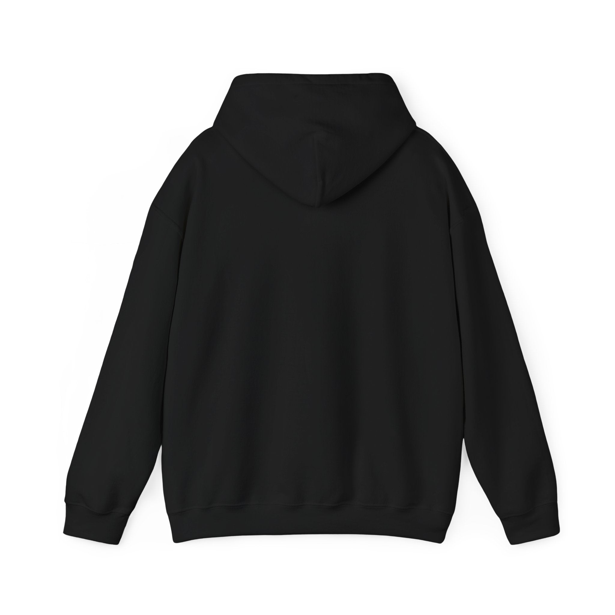 Seek First the Kingdom Hoodie | Christian streetwear, vintage-wash crest