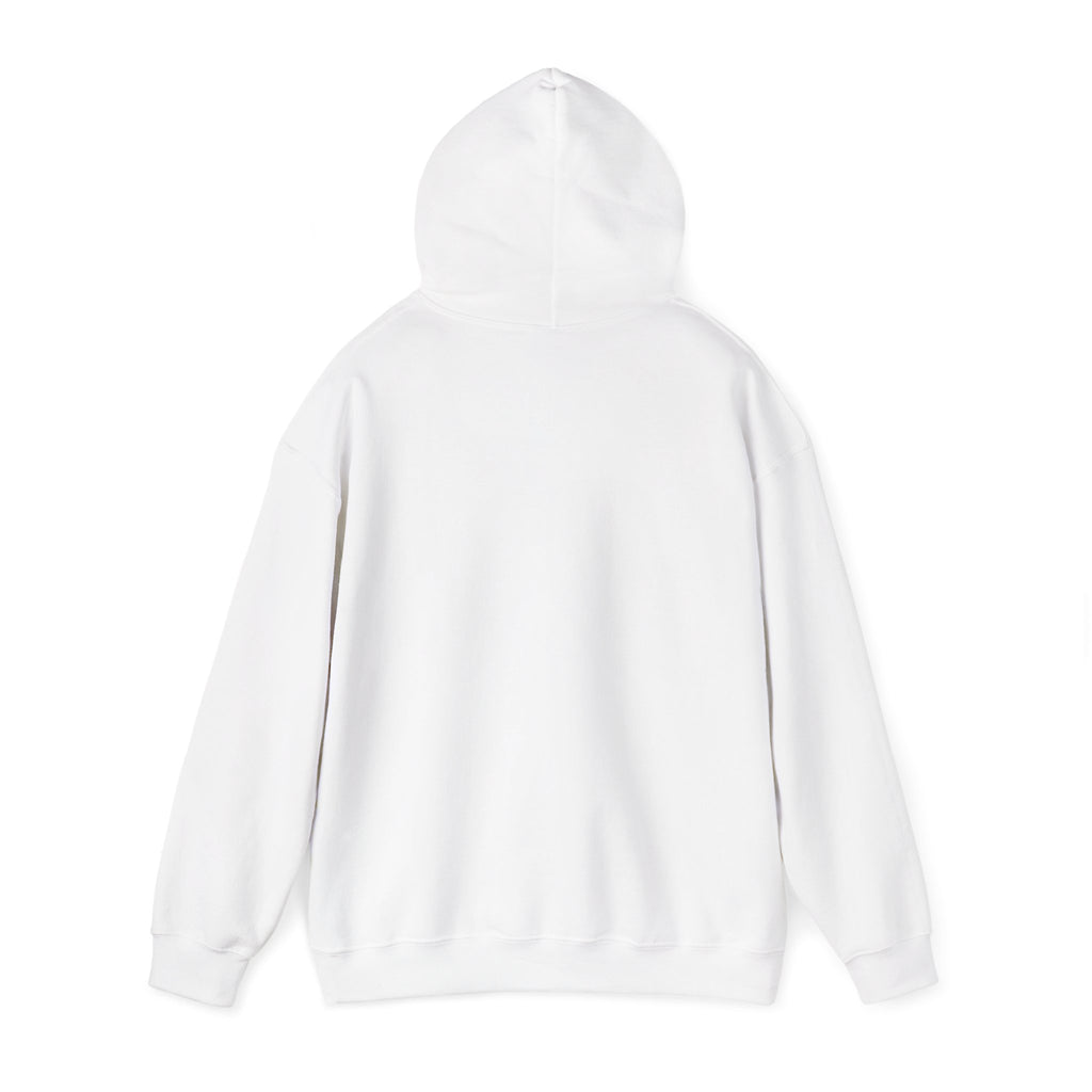 Seek First the Kingdom Hoodie | Christian streetwear, vintage-wash crest